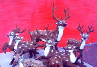 教學(xué)儀器的分類與應(yīng)用 從教具到動(dòng)物標(biāo)本的全面解析